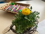 Maltisch Das Bild zeigt eine gelbe Blume hinter der eine Schale mit Buntstiften steht.