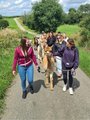 Das Bild zeigt die Gruppe der Schülerinnen, wie sie mitsamt den Alpakas, die sie führen einen Wanderweg entlang gehen.