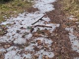 Das Bild zeigt eine Land-Art-Figur aus Stöcken und Blättern im Schnee. Sie stellt ein Haus und ein Strichmännchen dar.
