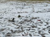 Das Bild zeigt eine Land-Art-Figur aus Stöcken und Blättern im Schnee. Sie stellt ein Winterdorf mit einem Haus, einer Feuerstelle und einem See dar.