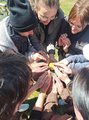 Erlebnispädagogische Übung mit einem Ball Das Bild zeigt die Gruppe des Oberkurses, die ihre Hände in die Mitte ihres Kreises strecken