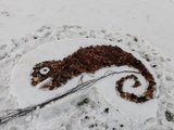 Das Bild zeigt eine Land-Art-Figur aus Stöcken und Blättern im Schnee. Sie stellt ein Chamäleon auf einem Ast dar.